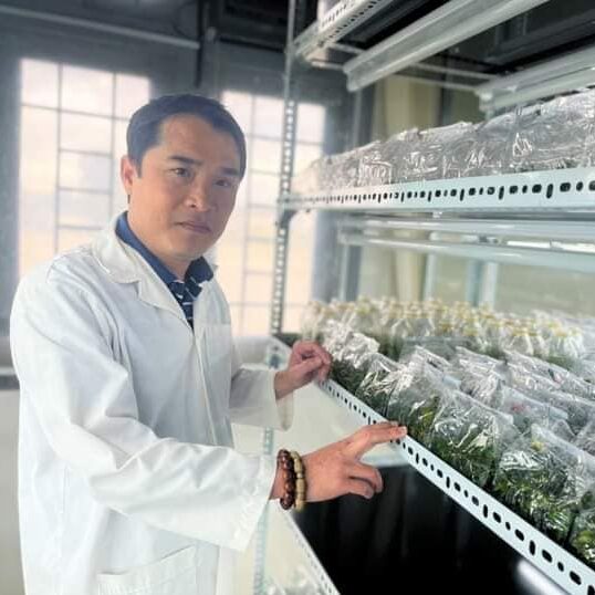 Tre khổng lồ cấy mô LXP